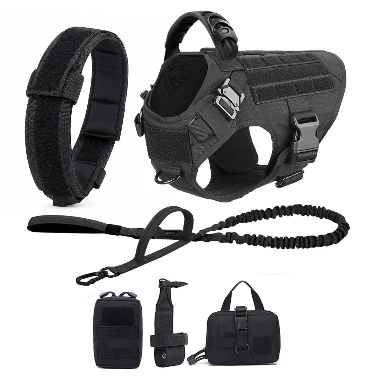 Explorer Harness & Leash Set