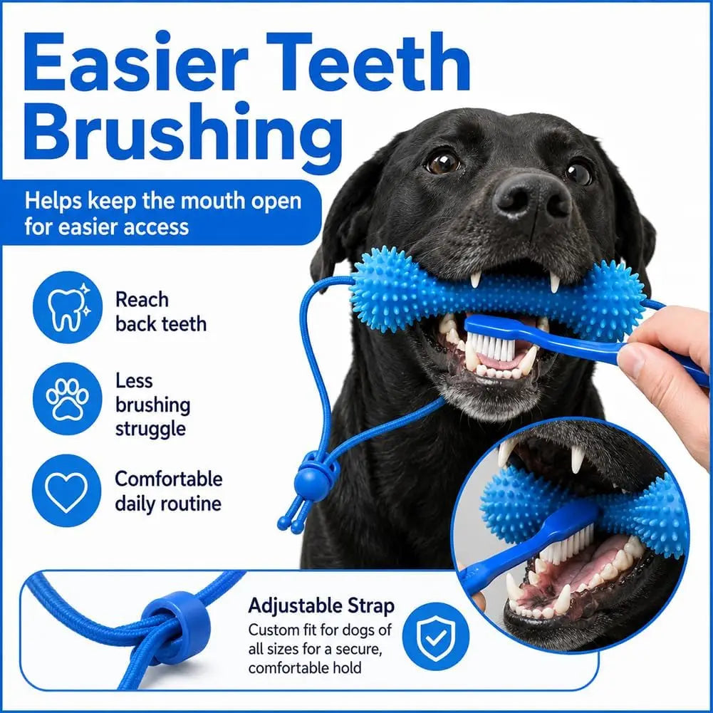Dental Chew Stick