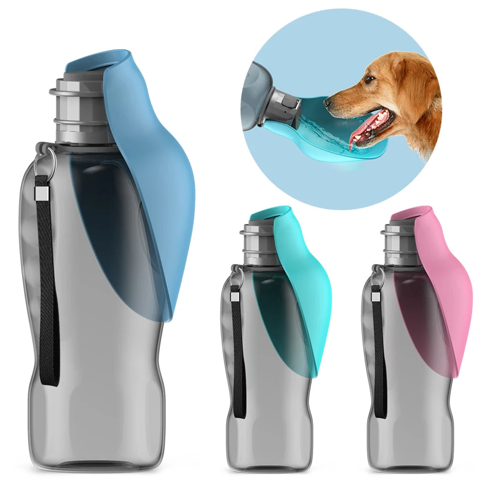 Adventure Water Bottle