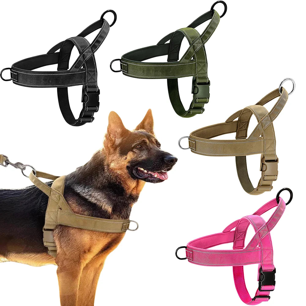 Trail No-Pull Harness