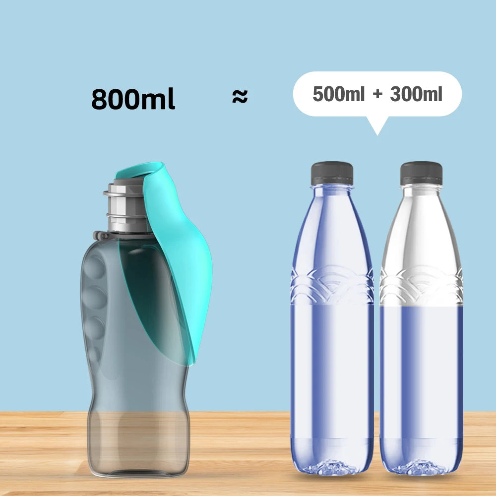 Adventure Water Bottle