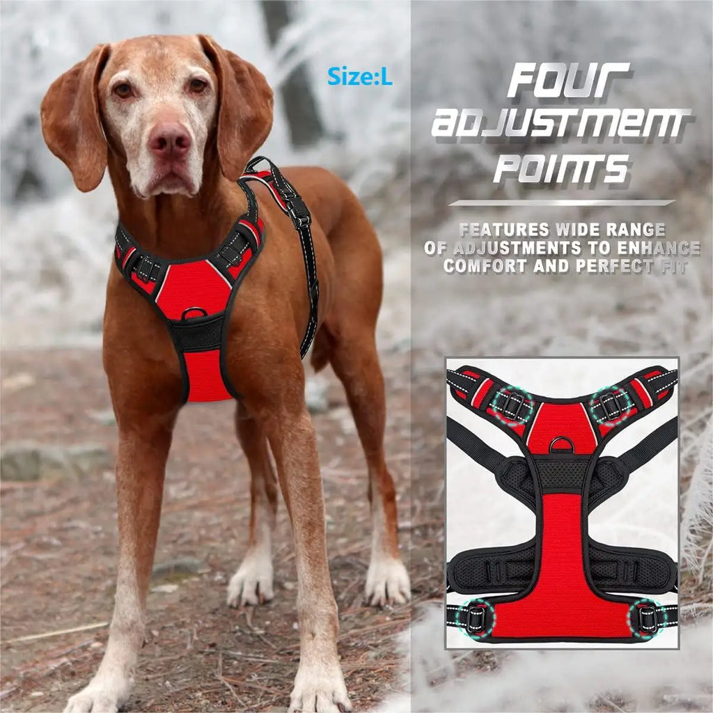Everyday Comfort Harness
